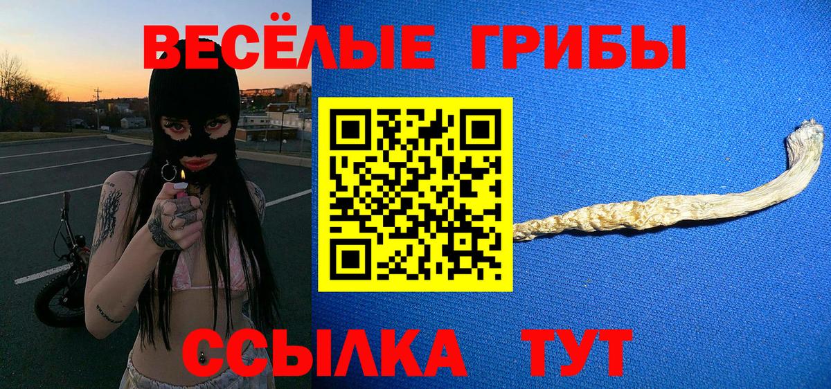 Галлюциногенные грибы Psilocybe Симферополь
