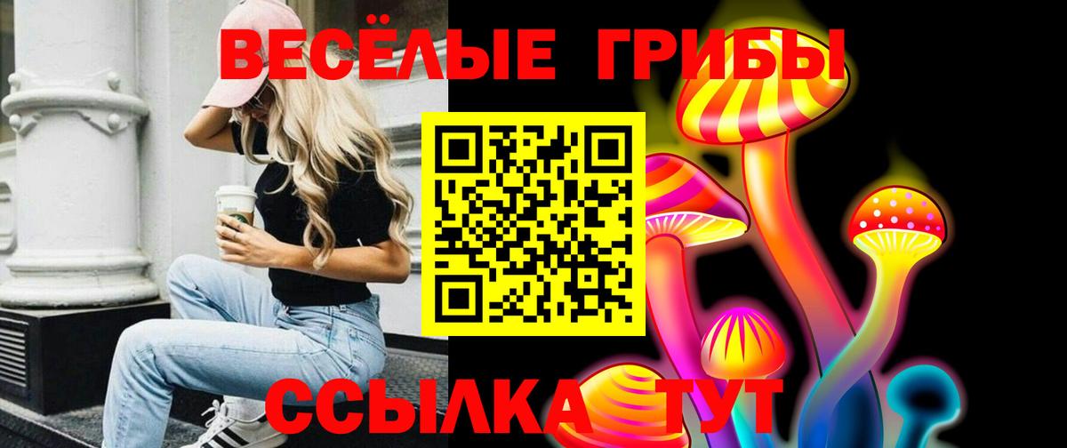 Симферополь  Галлюциногенные грибы мицелий  Вход с VPN 